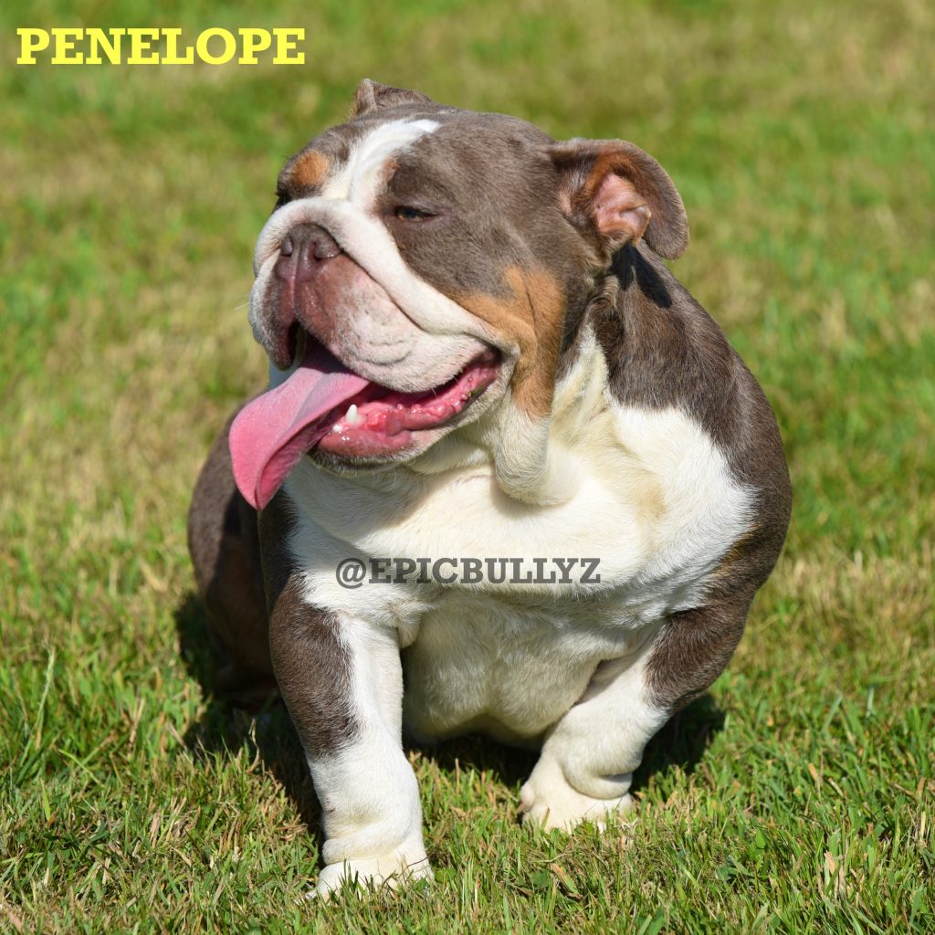 Sky — Epic Bullyz Female